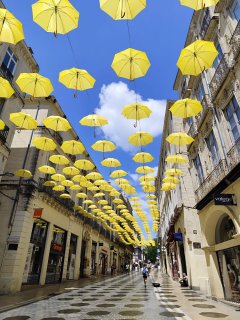 Service : service a personne Service : service a personne